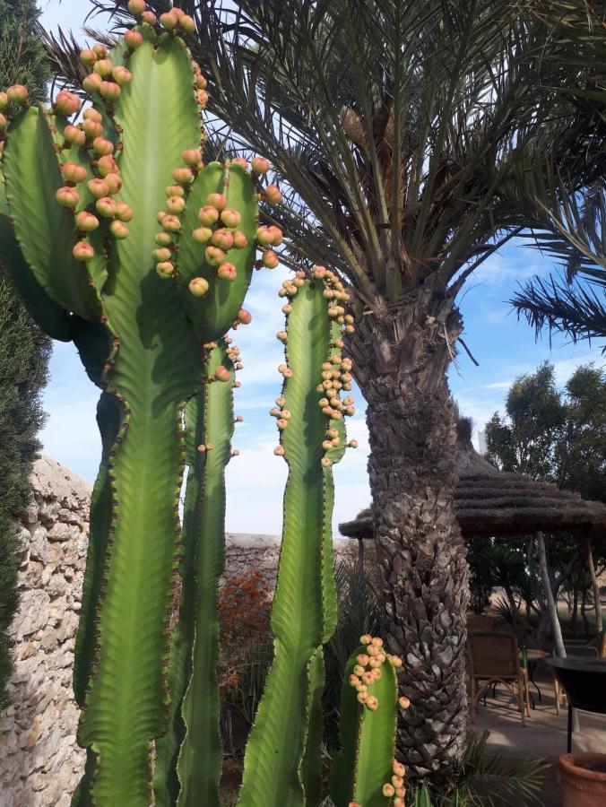 La Maison D'Helene Essaouira Al Ghar Buitenkant foto