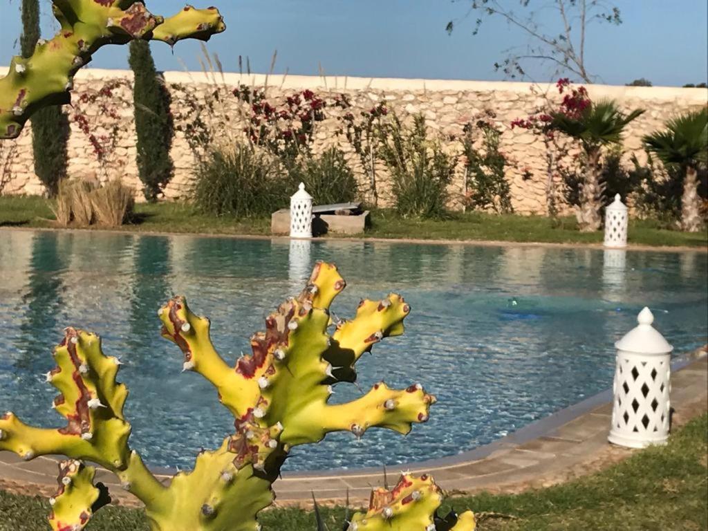 La Maison D'Helene Essaouira Al Ghar Buitenkant foto